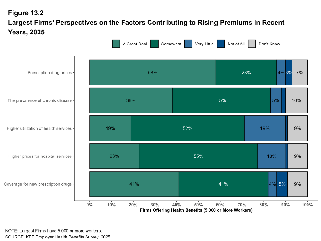 Figure 13.2: Largest Firms' Perspectives On the Factors Contributing to Rising Premiums in Recent Years, 2025